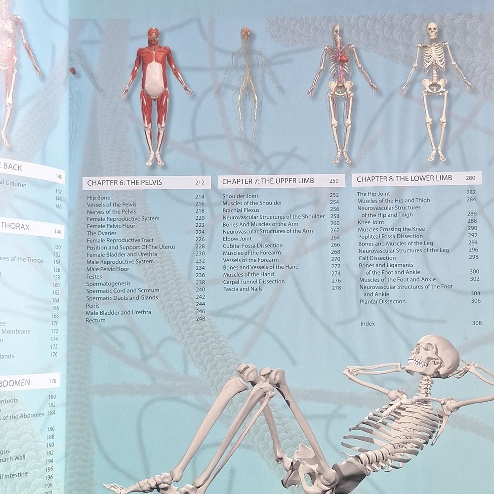 Anatomy 360° Visual Guide Book - Picture 5 of 5